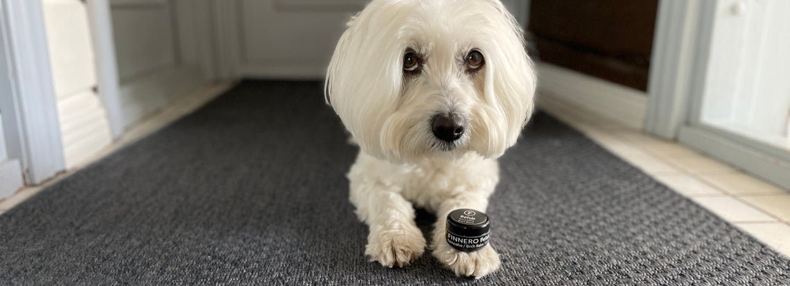 Healthy skin and paws with FINNERO Betula