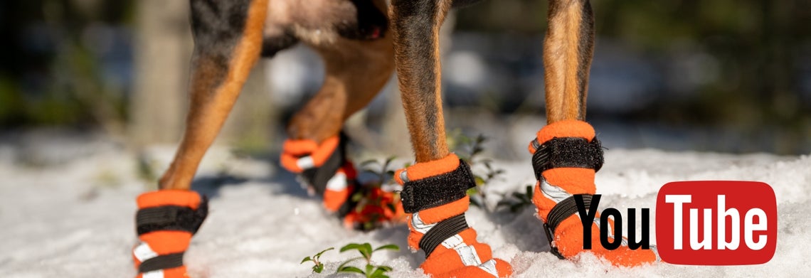 How to Measure Your Dog&rsquo;s Paws